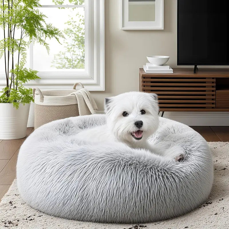 toutou en blottit dans panier pour chien doux