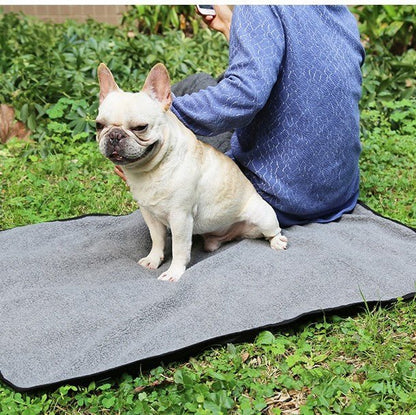 toutou et son maitre sur couverture imperméable réversible