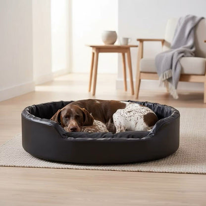 toutou âgée dans canapé orthopédique chien de bien-être