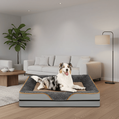 toutou heureux dans canapé orthopédique pour grand chien