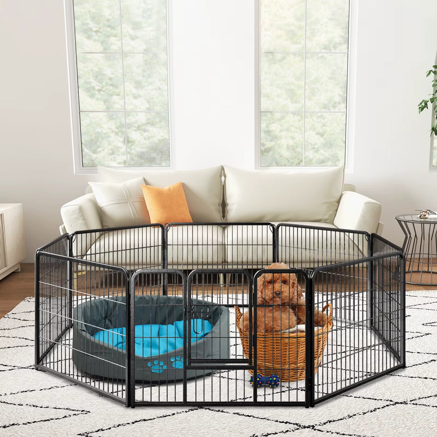 toutou installer dans parc pour chiens dans la maison