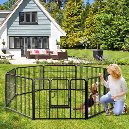 toutou joue avec sa maitresse dans le parc pour chiens
