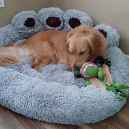 toutou joue dans son lit pour chien en peluche
