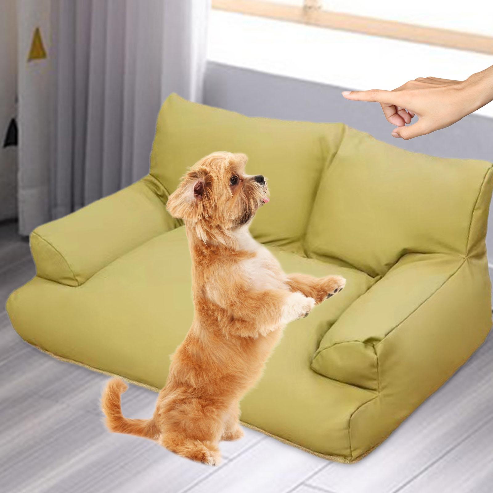 toutou joue devant la banquette pour chien