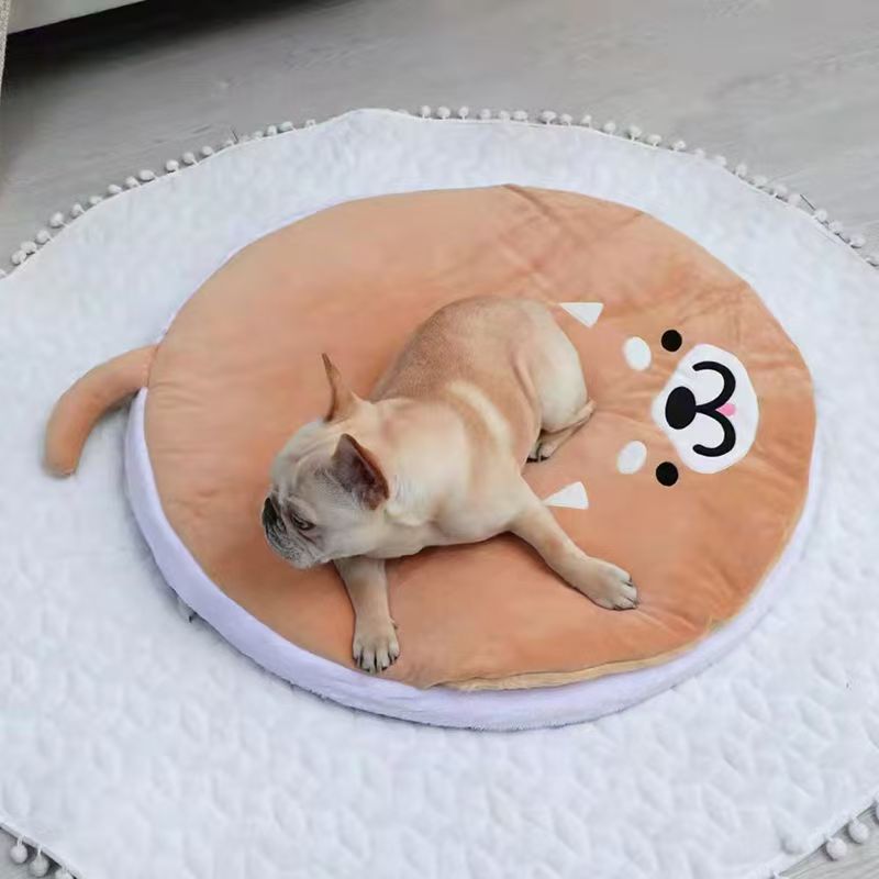 toutou joue sur couchages chiens en peluche