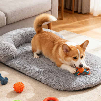 toutou joue sur coussin pour grand chien orthopédique