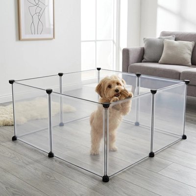 toutou observe par le parc chien intérieur