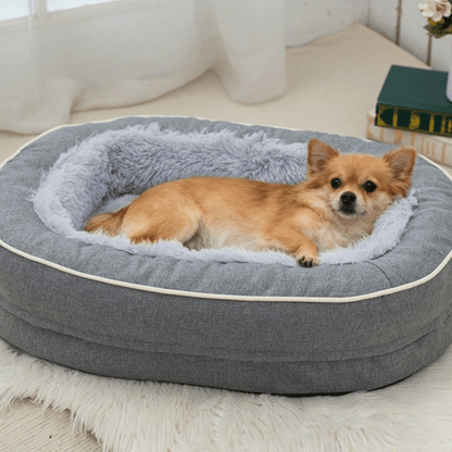 toutou observe par son canapé orthopédique pour chien moelleux