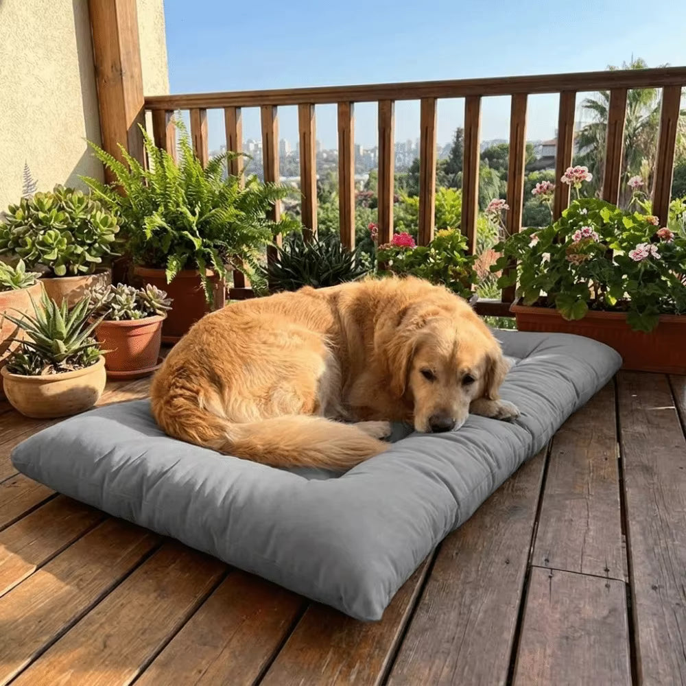 toutou posé dans coussin pour chien xxl sur terrasse