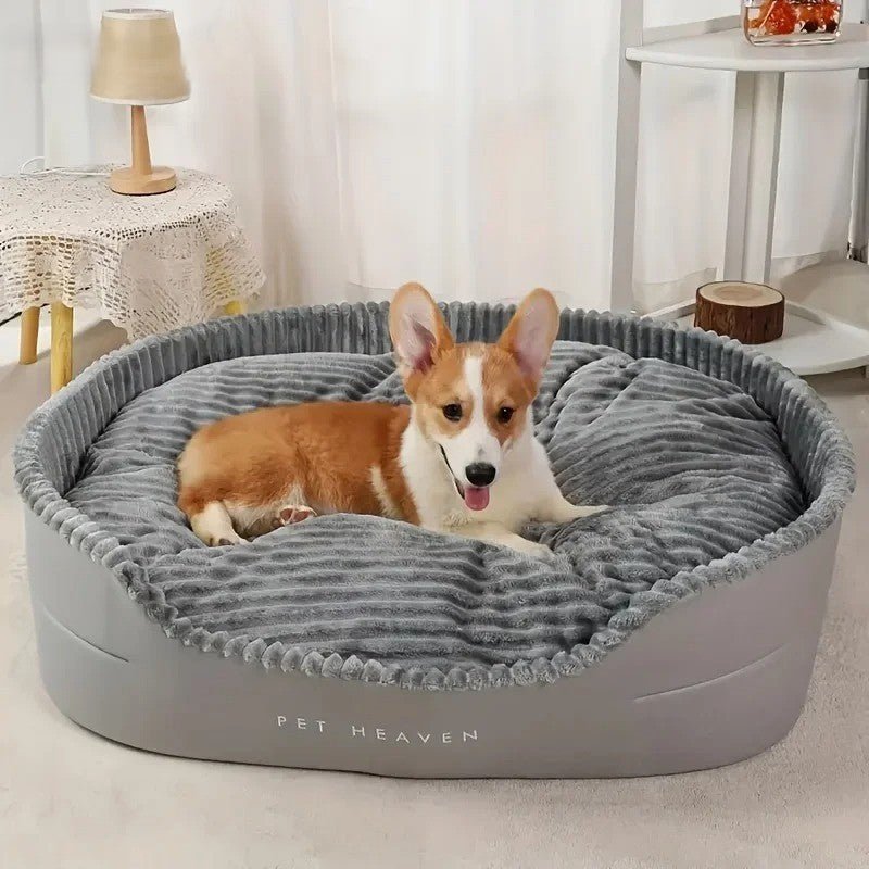 toutou_regarde_dans_canape_pour_chien_dans_chambre