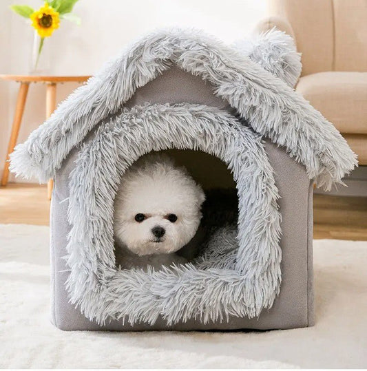 toutou regarde par niche chien en fourrure