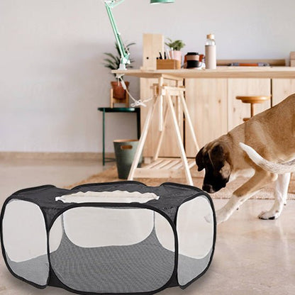toutou  renifle parc pour chien
