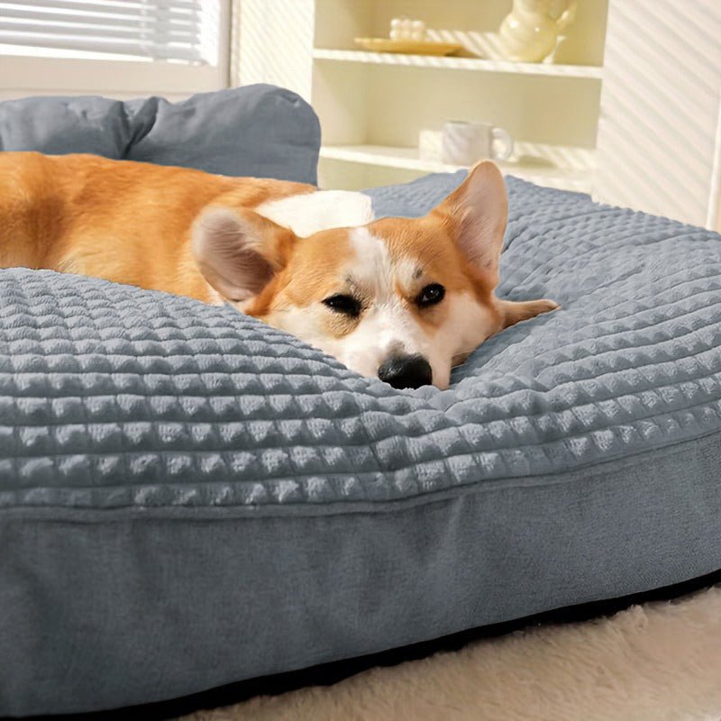 toutou repose dans canape chien xxl doux