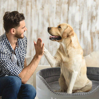 toutou son maitre joue dans canape pour chien