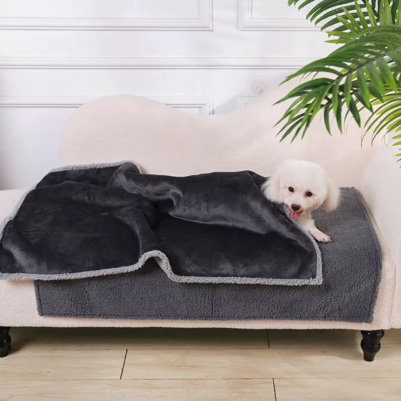toutou sous couverture imperméable chien dans le canapé