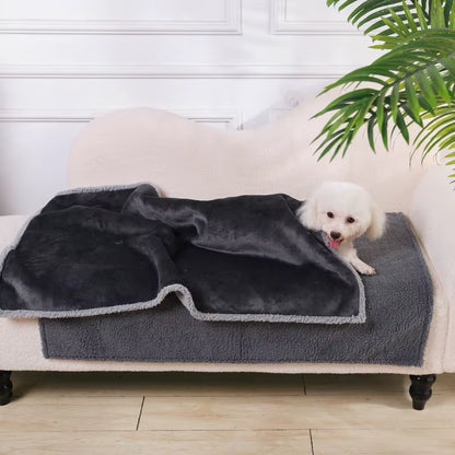 toutou sous couverture imperméable chien dans le canapé