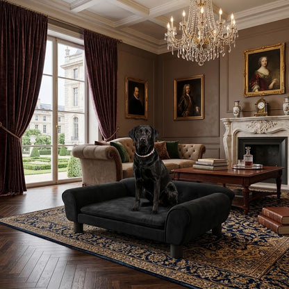 toutou sur canape luxe pour chien avec mousse ergonomique