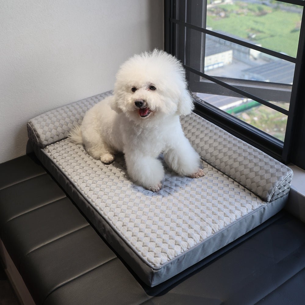 toutou sur canape pour chien avec accoudoir
