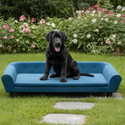 toutou sur canape pour chien grand taille dans le jardin