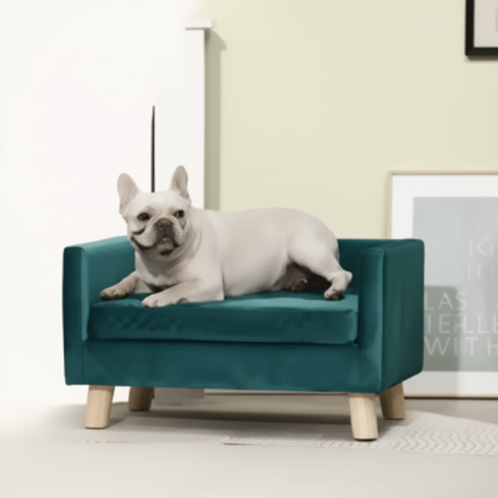 toutou sur canape sur pieds en bois pour grand chien