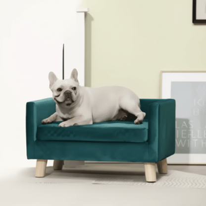 toutou sur canape sur pieds en bois pour grand chien