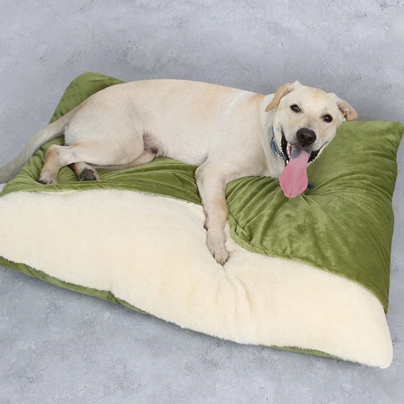 toutou sur coussin chien en polaire chaud vert