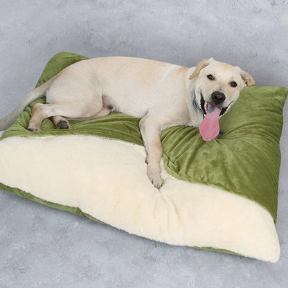 toutou sur coussin chien en polaire chaud vert