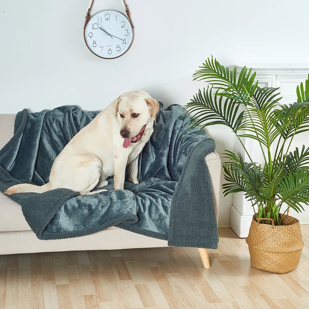 toutou sur couverture chauffante pour chien en flanelle