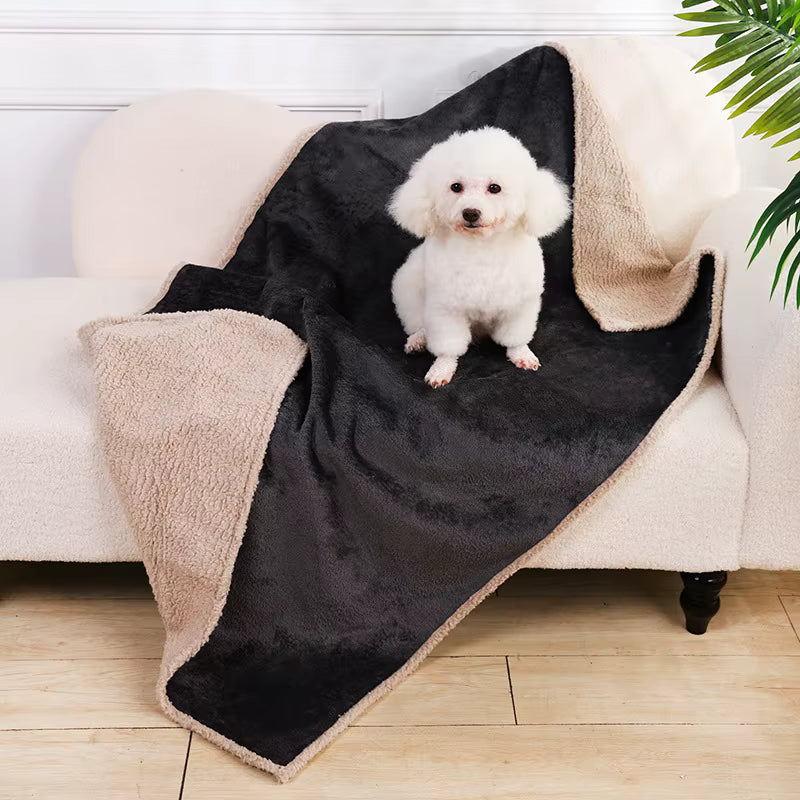 toutou sur couverture imperméable chien