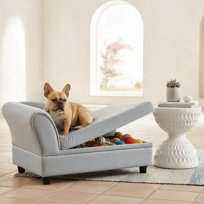 toutou sur fauteuil pour chien élégant