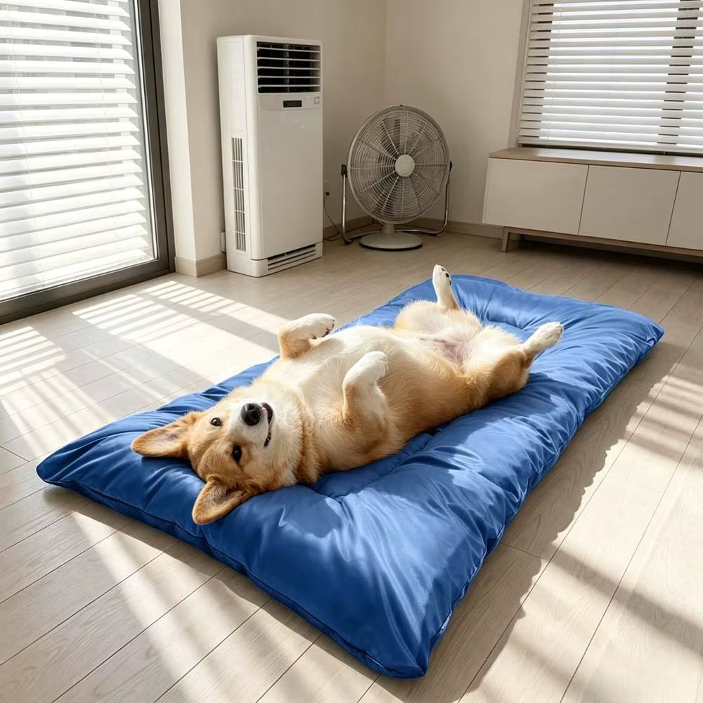 toutou sur le dos sur tapis pour chien rafraichissant dans la chambre