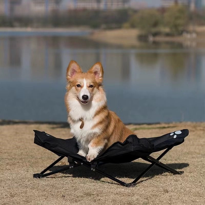 toutou sur lit de camp chien au bord de lac