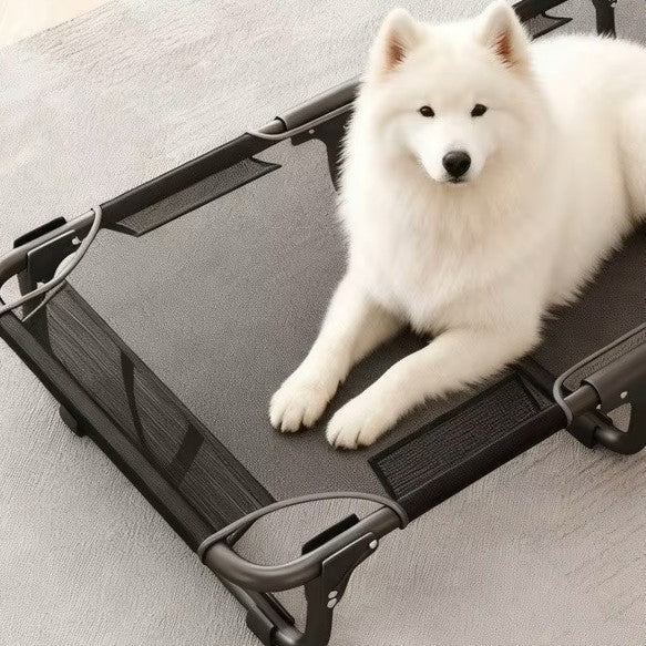toutou sur lit de camp pour chien XL respirant 
