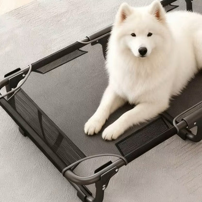 toutou sur lit de camp pour chien XL respirant 