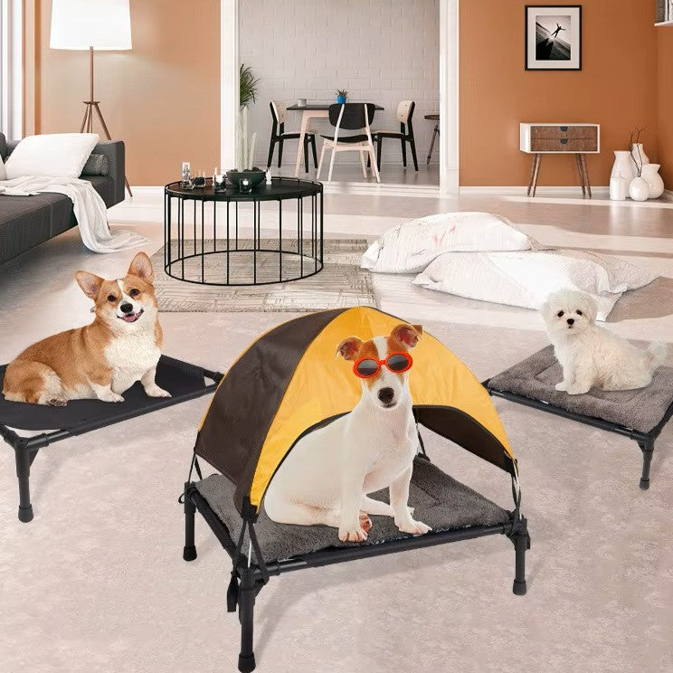 toutou sur lit de camp pour chien dans salon