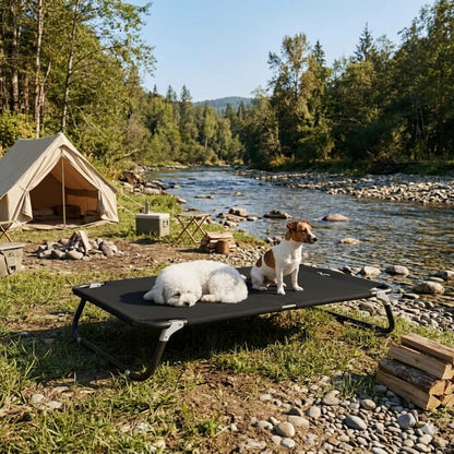 toutou sur lit de camping pour chien pliable