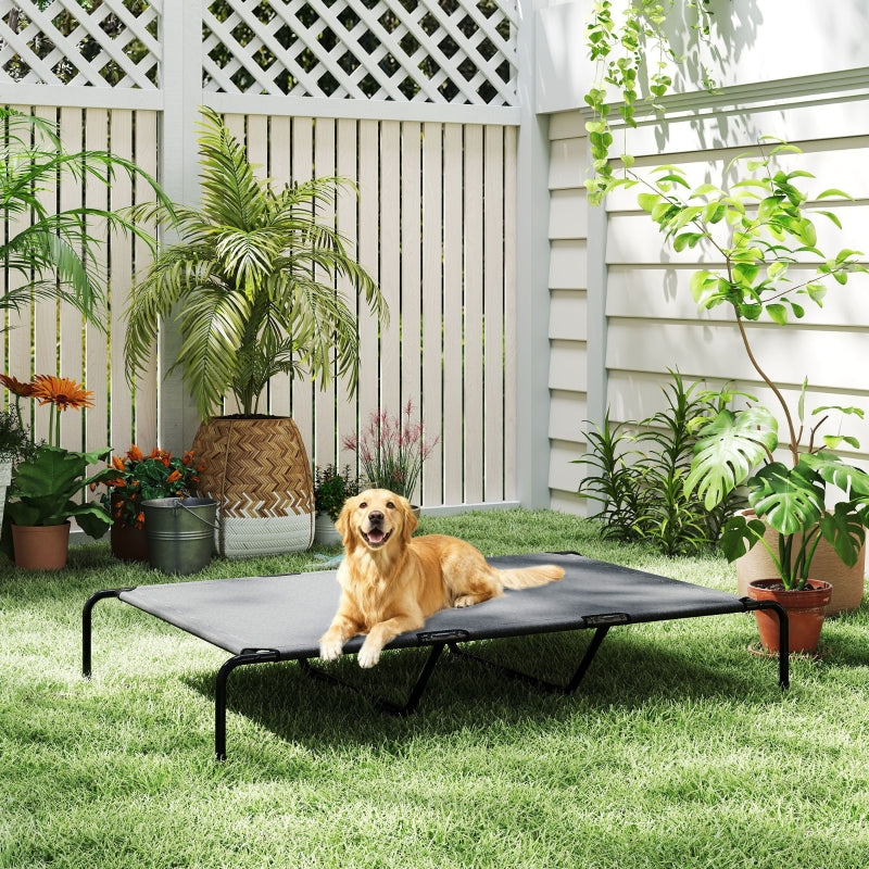 toutou sur lit pour chien xxl surélevé dans jardin de maison 