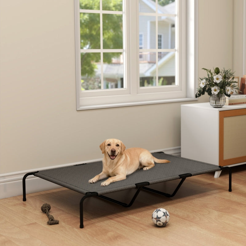 toutou sur lit pour chien xxl surélevé dans  le salon 