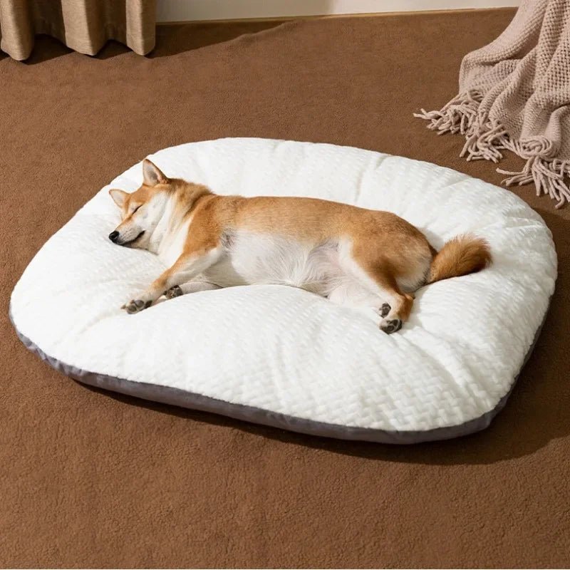 toutou sur matelas déhoussable pour chien