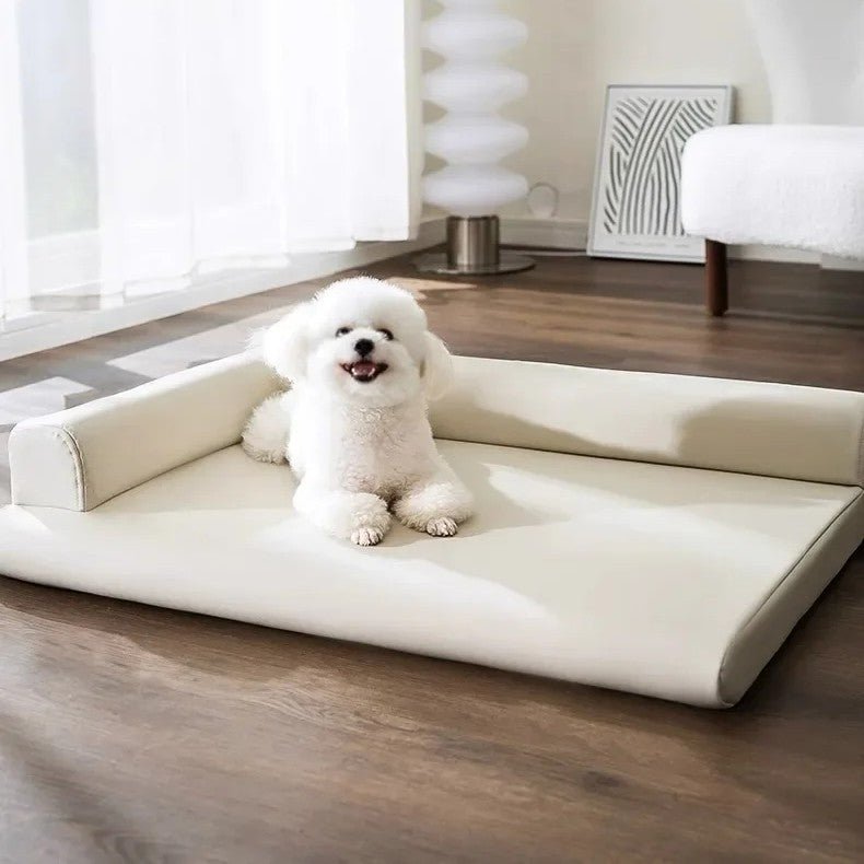 toutou sur matelas orthopédique pour chien facile entretien