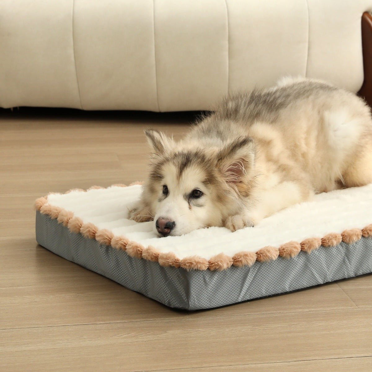 toutou sur matelas pour chien a mémoire de forme déhoussable