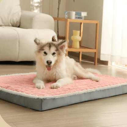 toutou sur matelas pour chien à mémoire de forme antidérapant