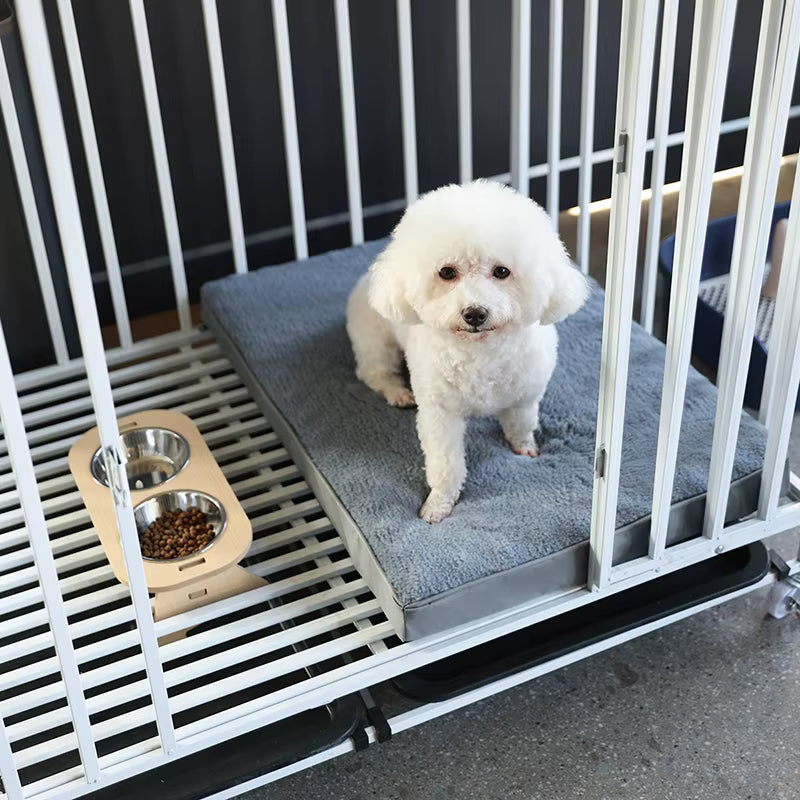 toutou sur tapis chien dans la cage