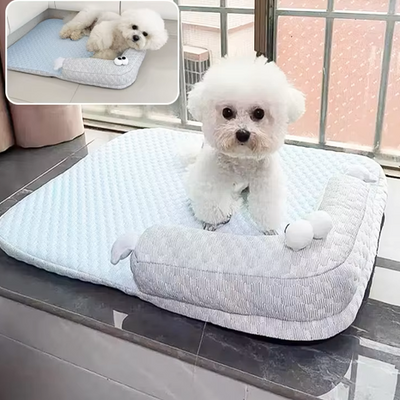 toutou sur tapis orthopédique pour chien