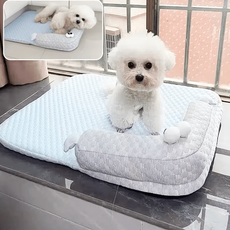 toutou sur tapis orthopédique pour chien
