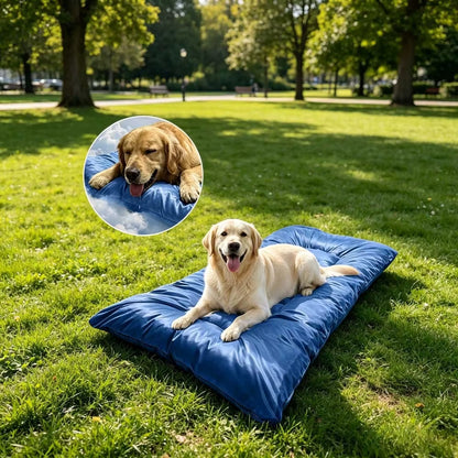 toutou sur tapis pour chien rafraichissant dans le jardin