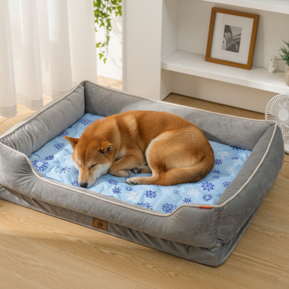 toutou sur tapis rafraichissant chien dans panier