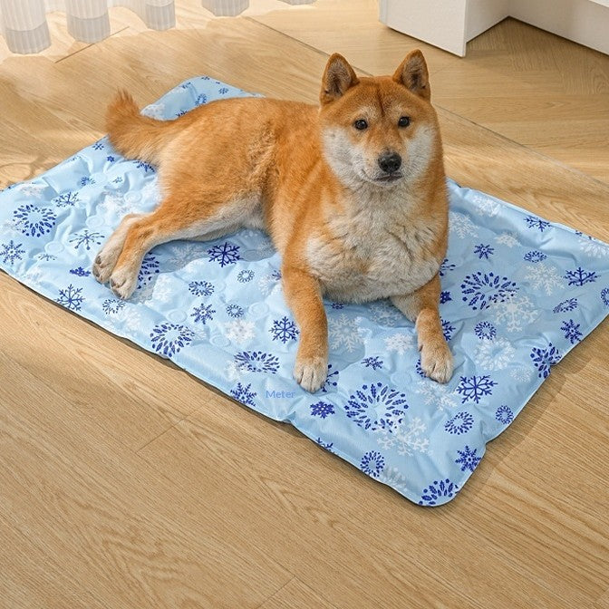toutou sur tapis rafraichissant chien dans_salon