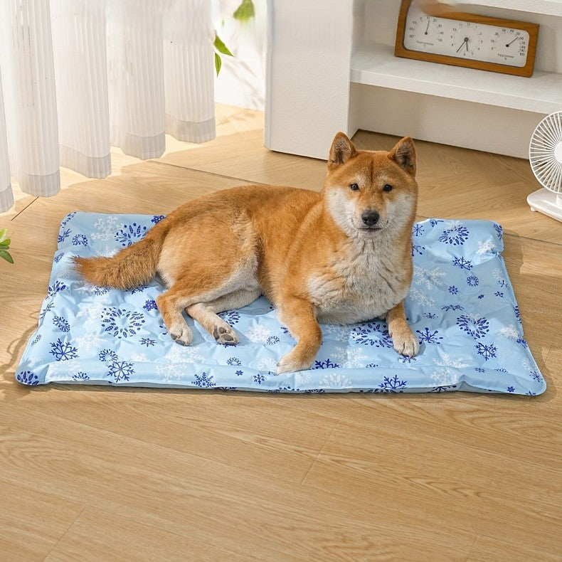 toutou sur tapis rafraichissant chien en gel