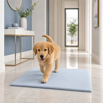 toutou sur tapis rafraichissant chien grand taille dans le couloire